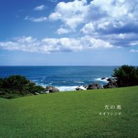 オオフジツボ / 光の奥
