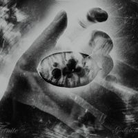 Trinite / 神々の骨