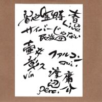 サイバーじゃない民族団 / 音や金時の夜